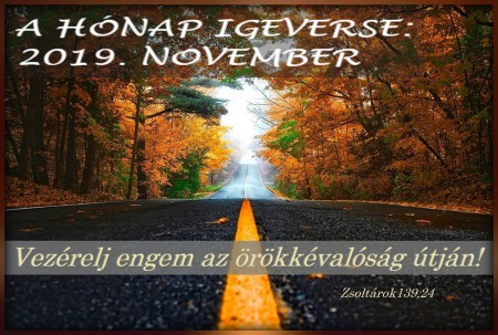 2019 - NOVEMBER HÓNAP IGEVERSE